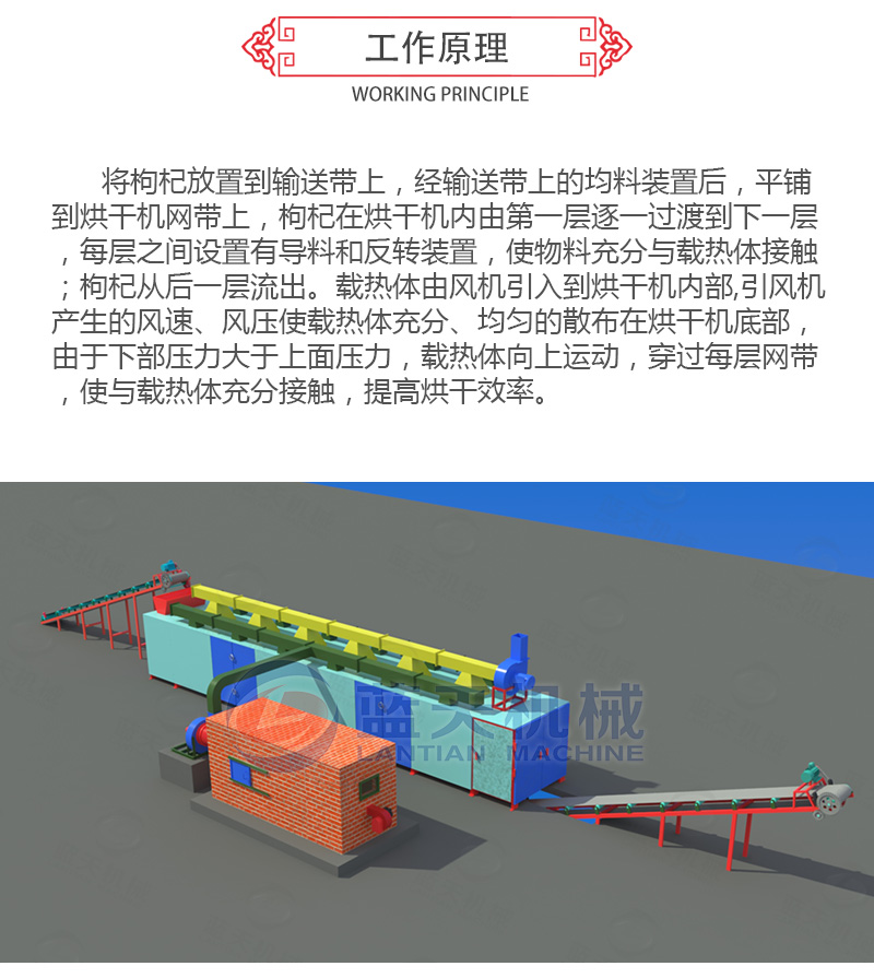 枸杞網帶式烘干機工作原理